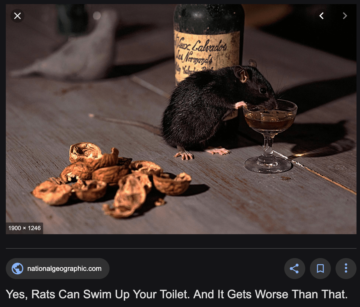 Screen Shot 2019-09-01 at 4.16.04 pm