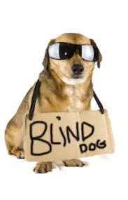 Screen Shot 2019-09-02 at 12.20.47 pm