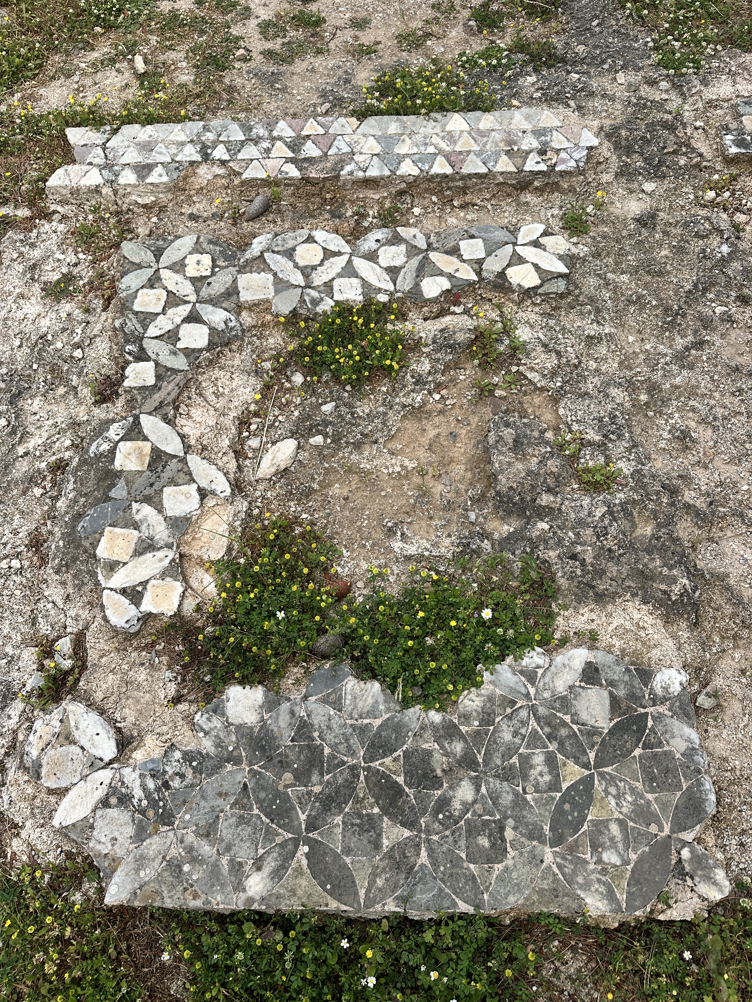 Old mosaic remains, Castle