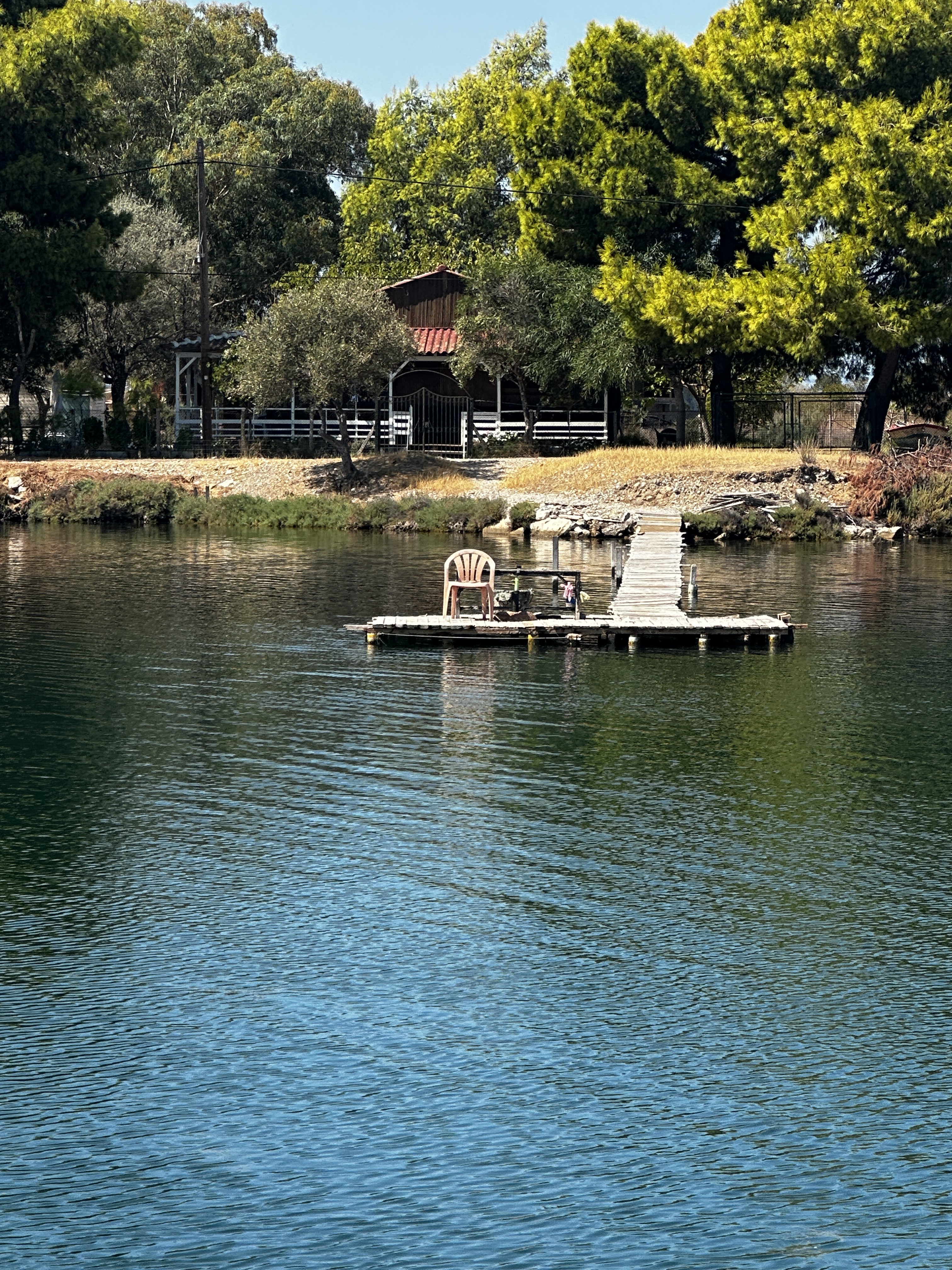 Who could resist?